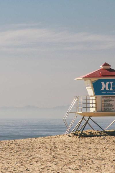 Campera Algodon Rugby